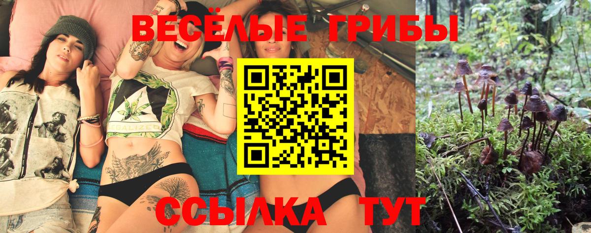 Усть-Илимск  Галлюциногенные грибы GOLDEN TEACHER  Вход с VPN  Псилоцибиновые грибы ЛСД 